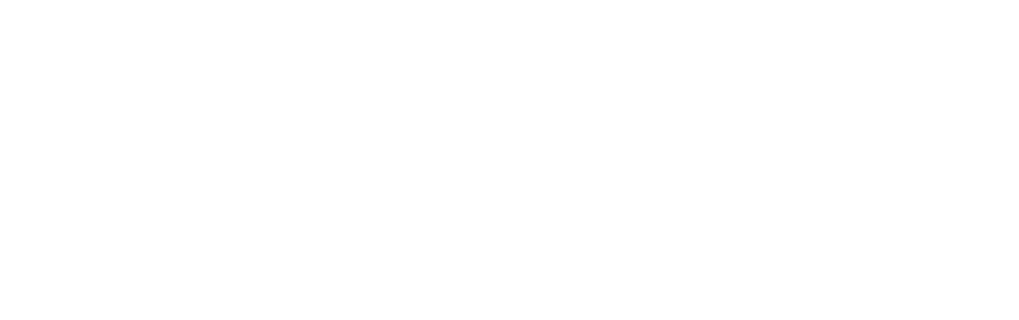 Logo liten_hvit_00000